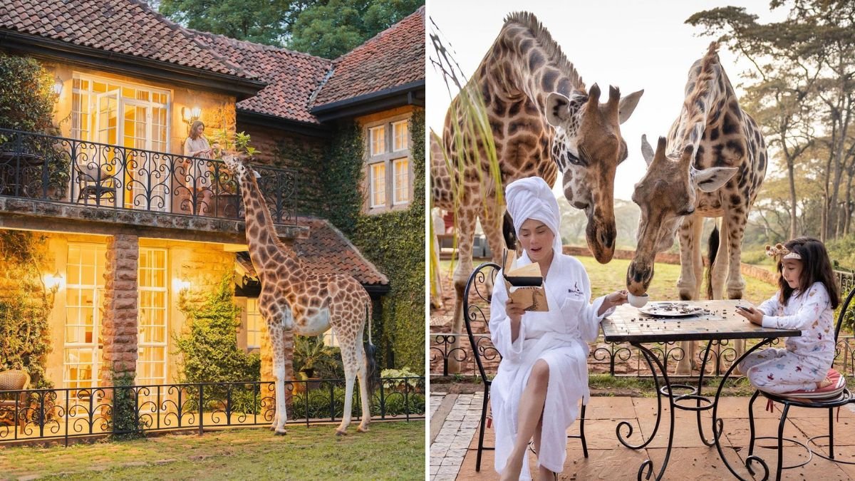 Featured image for ““Embrace the Extraordinary: A Safari into Luxury at Giraffe Manor, Nairobi””